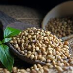 Standardy jakości stosowane przez renomowanych producentów nasion marihuany